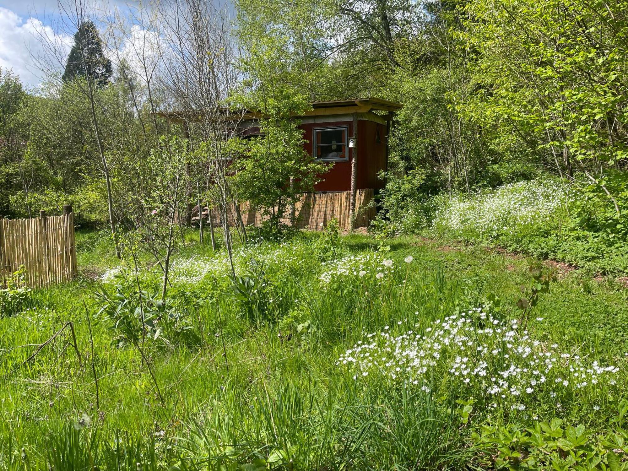 Kuscheliger Zirkuswagen Im Wildgarten ヴィッツェンハウゼン エクステリア 写真