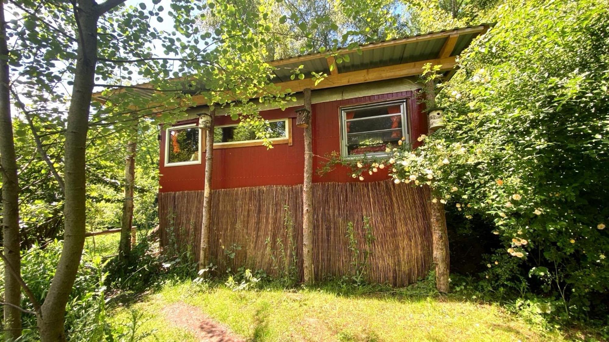 Kuscheliger Zirkuswagen Im Wildgarten ヴィッツェンハウゼン エクステリア 写真