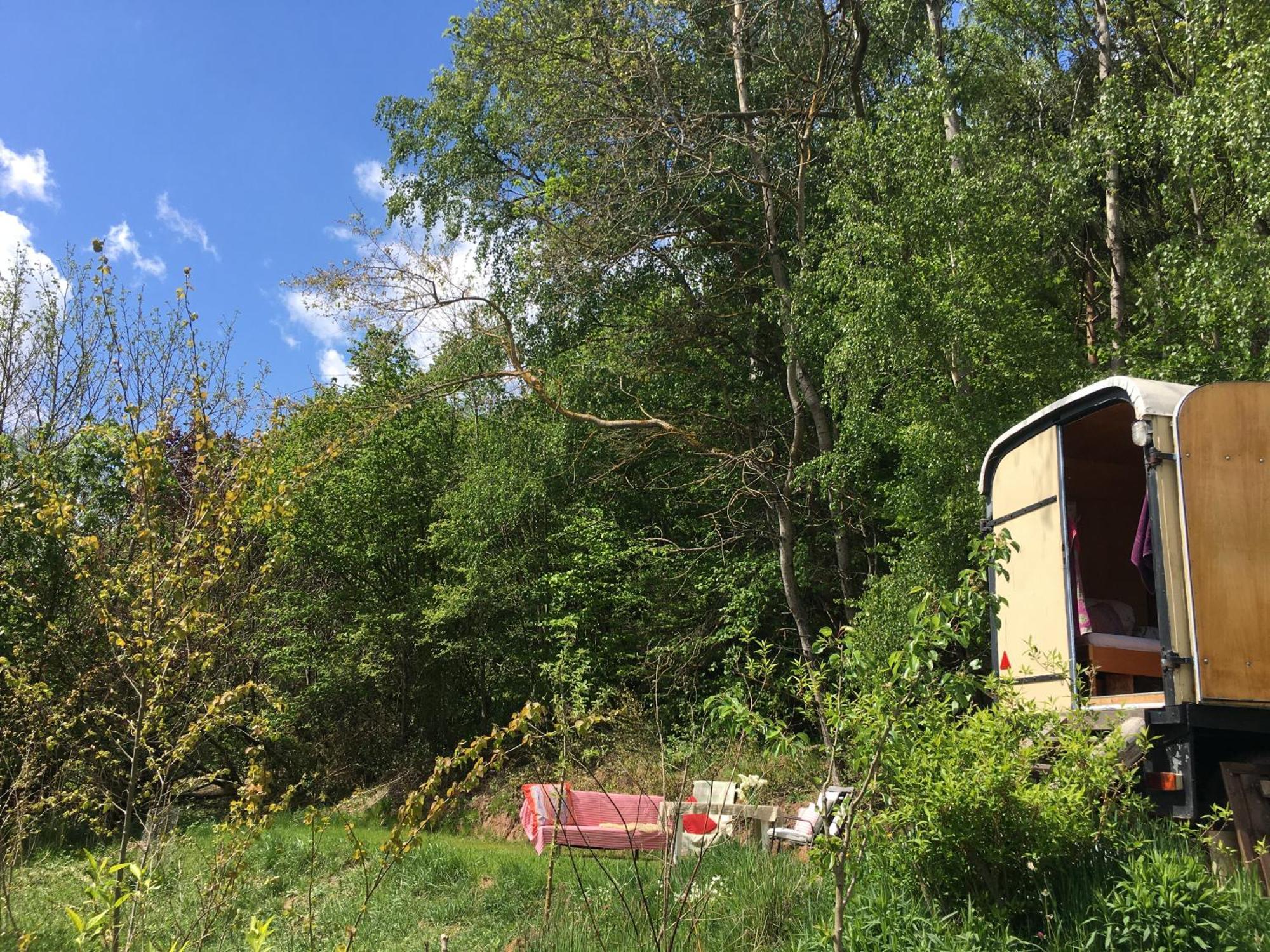 Kuscheliger Zirkuswagen Im Wildgarten ヴィッツェンハウゼン エクステリア 写真